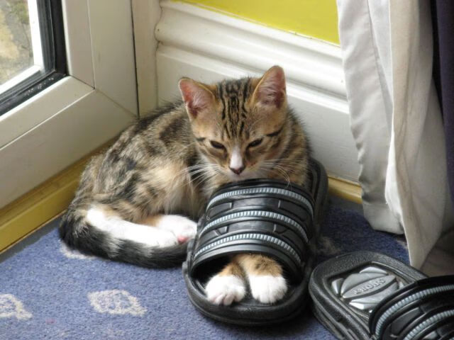 辽篮带走七十六分,伦纳德三记封喉定江山