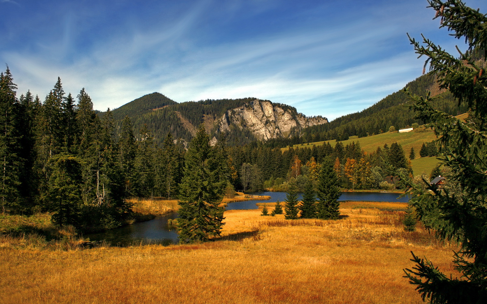 雷火电竞官网-数据烟火绽放，黑马踏破豪门，迪巴拉现象与奥地利的铁血逆袭