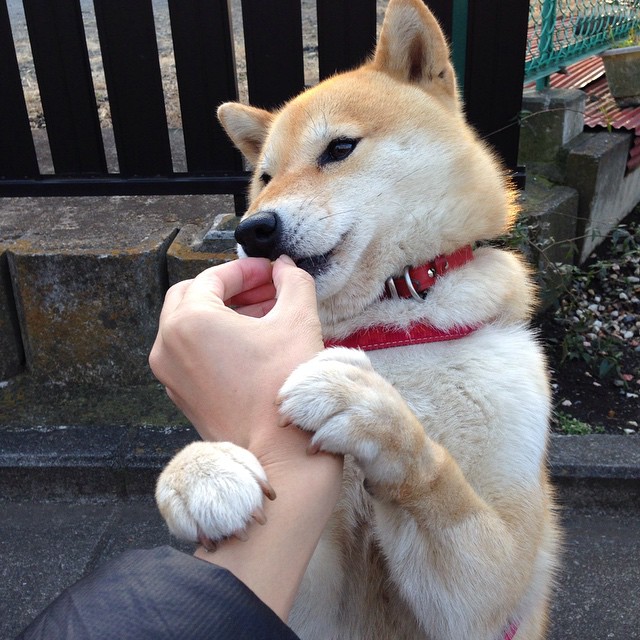 赤道与雪国的足球对话，阿拉巴用一场非典型友谊赛写下防守教科书