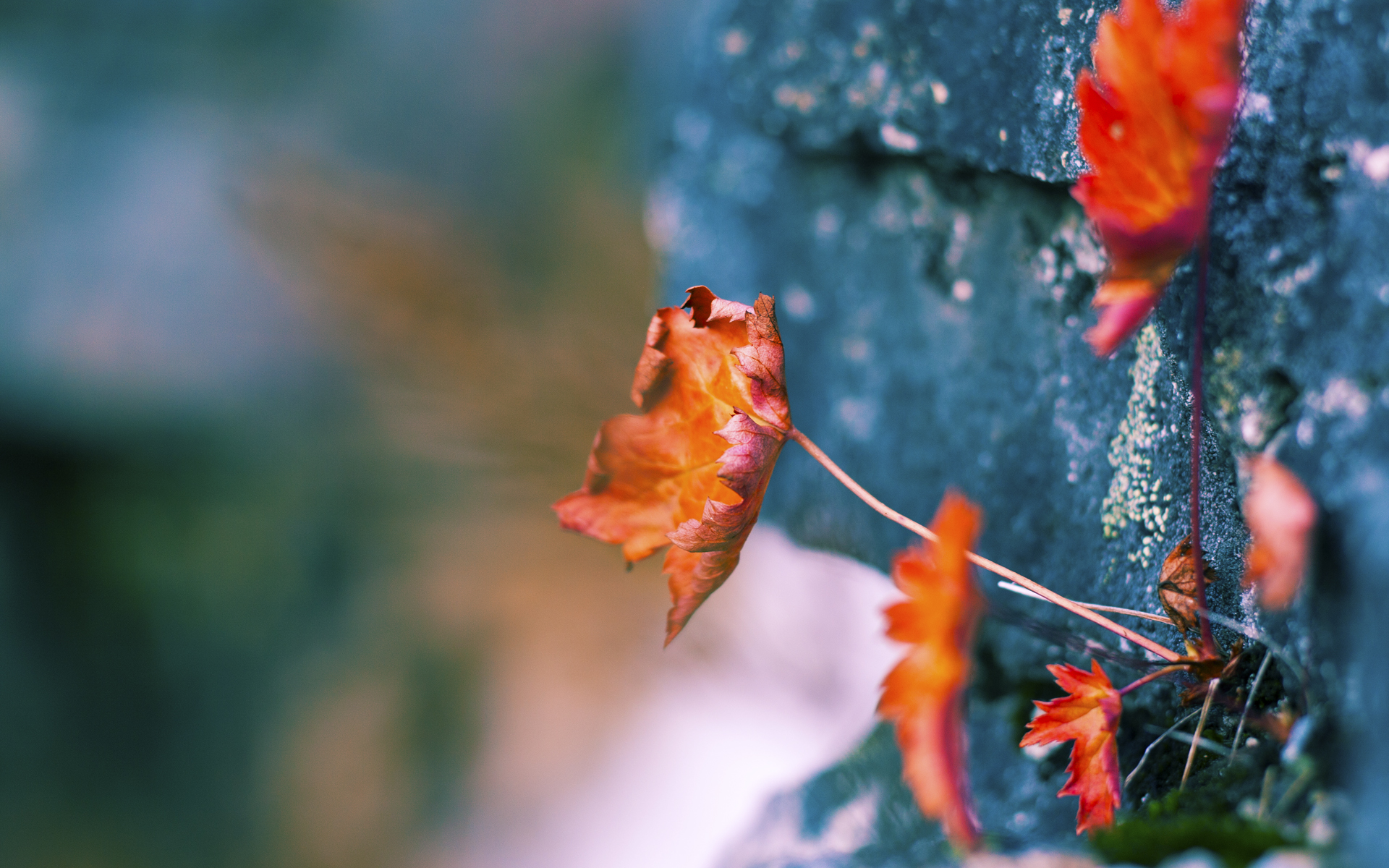 雷火电竞入驻-跨界谜题，欧冠决赛夜，新疆队打穿雄鹿？