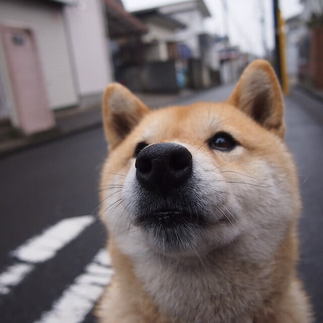 封锁与接管，当规则被撕裂时，强者如何定义比赛