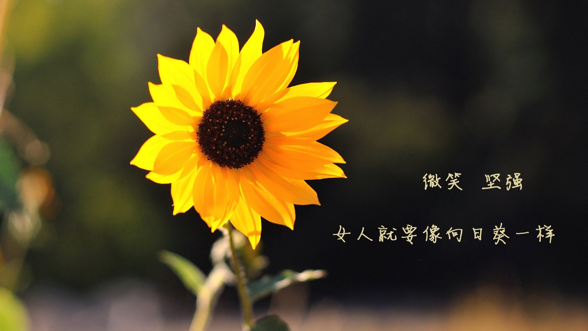 星光璀璨，C罗势不可挡，但苏亚雷斯才是今夜最亮的那颗星