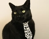 雷火电竞合作-绿茵场的风与赛道的电光，F1巴林揭幕战之夜，阿劳霍如何成为那枚最特别的场外零件